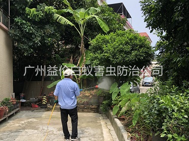 雅瑤社區(qū)除四害工程